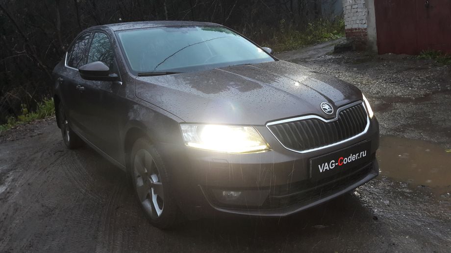 Skoda Oсtavia A7-1,8TSI(CJSA)-DSG7-2014м/г - обновление навигационных карт 2018-2019 года на штатной магнитоле Columbus MIB1 в VAG-Coder.ru