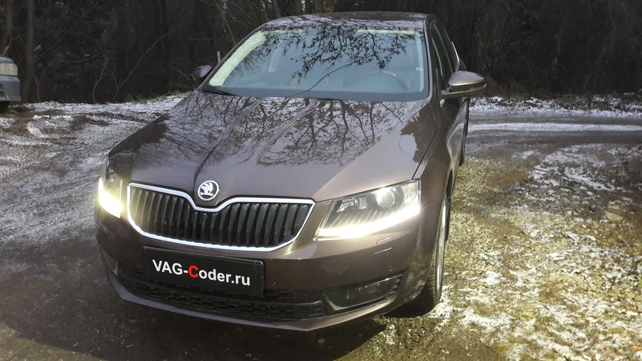 Skoda Octavia A7-1,8TSI(CJSA)-DSG7-2014м/г - обновление прошивки магнитолы Columbus MIB1 MQB от VAG-Coder.ru