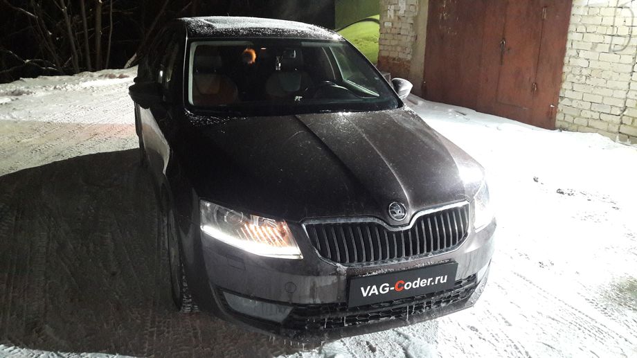 Skoda Octavia A7-1,8TSI(CJSA)-DSG7-2014м/г - перепрошивка руля, обновление навигационных карт 2018 года, разблокировка просмотра видео в движении, активация и кодирование скрытых функций от VAG-Coder.ru