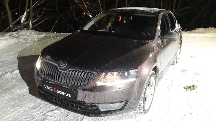 Skoda Octavia A7-1,8TSI(CJSA)-DSG7-2014м/г - перепрошивка руля, обновление навигационных карт 2018 года, разблокировка просмотра видео в движении, активация и кодирование скрытых функций от VAG-Coder.ru