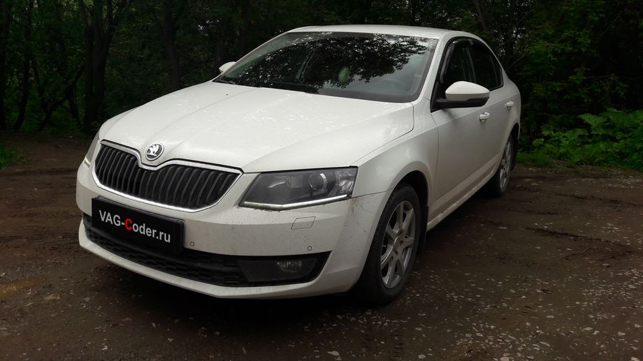 Skoda Octavia A7-1,8TSI(CJSA)-DSG7-2016м/г - активация и кодирование скрытых функций, обновление прошивки блока управления двигателя в VAG-Coder.ru