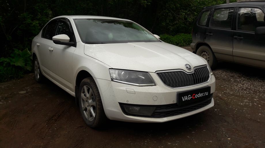 Skoda Octavia A7-1,8TSI(CJSA)-DSG7-2016м/г - активация и кодирование скрытых функций, обновление прошивки блока управления двигателя в VAG-Coder.ru