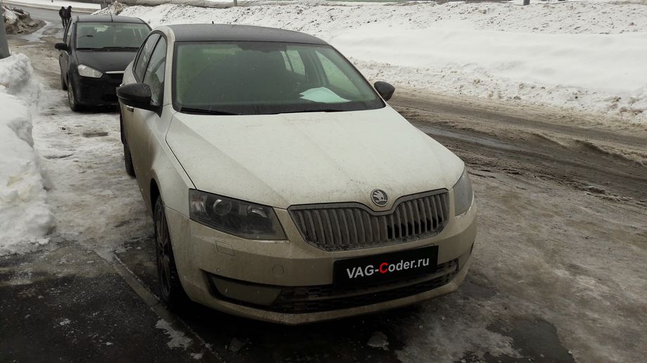  Skoda Octavia A7-1,8TSI-DSG7-2017м/г - кодирование и активации скрытых функций от VAG-Coder.ru