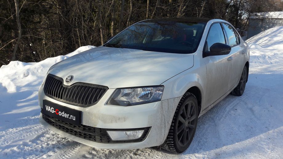 Skoda Octavia A7-1,4TSI(CZDA)-DSG7-2017м/г - комплексная диагностика состояния электроники, узлов и агрегатов автомобиля, обновление устаревших прошивок блоков управления - двигателя, обновление прошивки автоматической коробки передач DSG7 (DQ200-MQB), обновление прошивки магнитолы Bolero MIB2 в VAG-Coder.ru