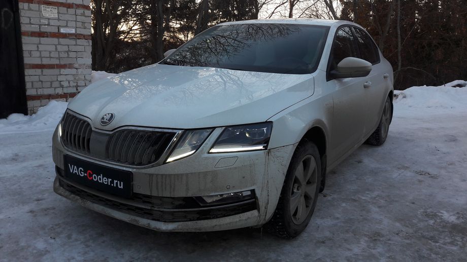 Skoda Octavia A7 FL-1,4TSI-DSG7-2018м/г - активация и кодирование скрытых функций в Перми в VAG-Coder.ru