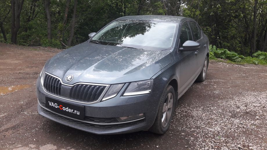 Skoda Octavia A7 FL-1,8TSI(CJSA)-4х4-DSG6-2018м/г - активация и кодирование скрытых функций в VAG-Coder.ru