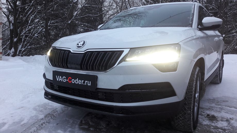 Программная активация и кодирование пакета скрытых заводских функций на Skoda Karoq-2021м/г в VAG-Coder.ru в Перми