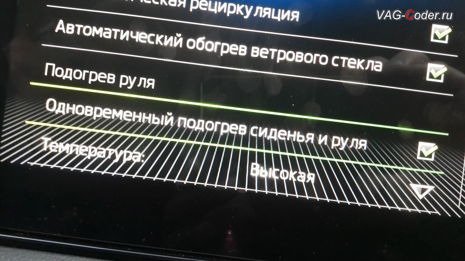 Skoda Kodiaq-2019м/г - в стоке нет функции автоматического включения подогрева руля, активация и кодирование скрытых функций в VAG-Coder.ru в Перми
