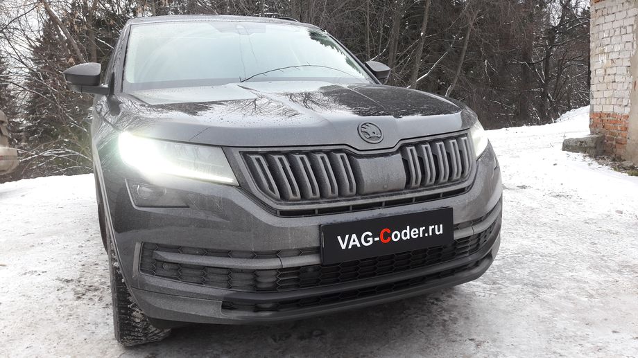 Skoda Kodiaq-2,0TSI-4х4-DSG7-2019м/г - обновление устаревшей прошивки магнитолы Columbus устраняющее проблему с неработающим голосовым управлением на русском языке в VAG-Coder.ru в Перми