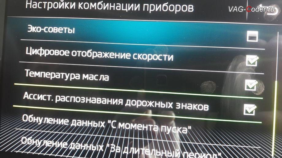 Skoda Kodiaq-2020м/г - настройка включения вывода отображения знаков в панели приборов для Ассистента распознавания дорожных знаков (Traffic Sign Detection, VZE), активация и кодирование скрытых заводских функций на Шкода Кодиак в VAG-Coder.ru в Перми