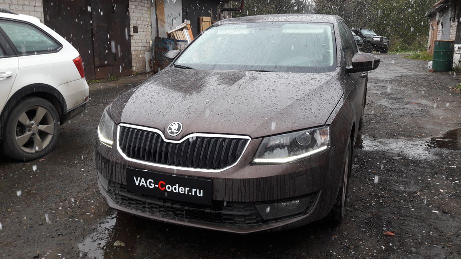 Skoda Octavia A7 FL-1,4TSI(CZDA)-DSG7-2018м/г - адаптация термостата после замены (N493, базовая установка исполнительного элемента актуатора регулирования температуры двигателя) и обновление устаревшей прошивки магнитолы Bolero MIB1 устраняющее хаотичное переключение экрана в VAG-Coder.ru в Перми