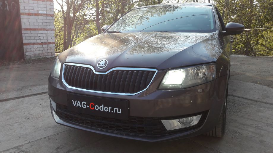 Skoda Octavia A7-1,4TSI-DSG7-2014м/г - устранение ошибки по запасу хода и электро АЗС в панели приборов на Шкода Октавия А7 в VAG-Coder.ru в Перми