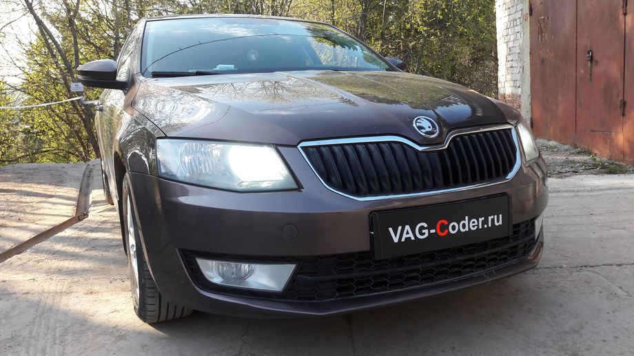 Skoda Octavia A7-1,4TSI-DSG7-2014м/г - устранение ошибки по запасу хода и электро АЗС в панели приборов на Шкода Октавия А7 в VAG-Coder.ru в Перми