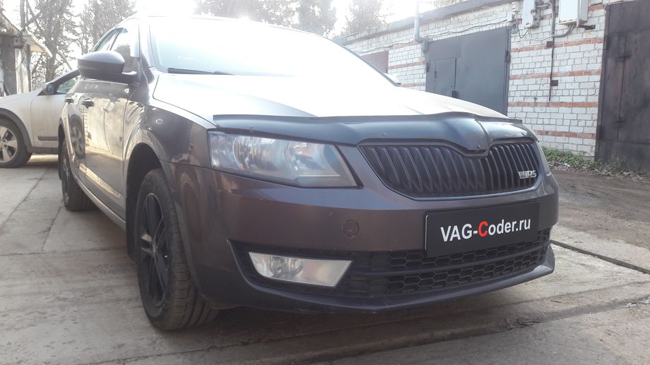 Skoda Octavia A7-1,4TSI-DSG7-2014м/г - устранение ошибки: Сбой в работе системы освещения а/м и Сбой в работе световых приборов автомобиля - обновление прошивки блока бортовой сети и комфорта (BCM) + параметрирование на Шкода Октавия А7 в VAG-Coder.ru в Перми