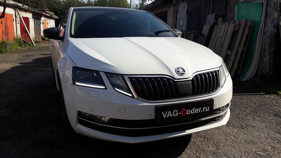 Skoda Octavia A7 FL-1,4TSI(CZDA)-DSG7-2018м/г - активация и кодирование скрытых функций в VAG-Coder.ru в Перми