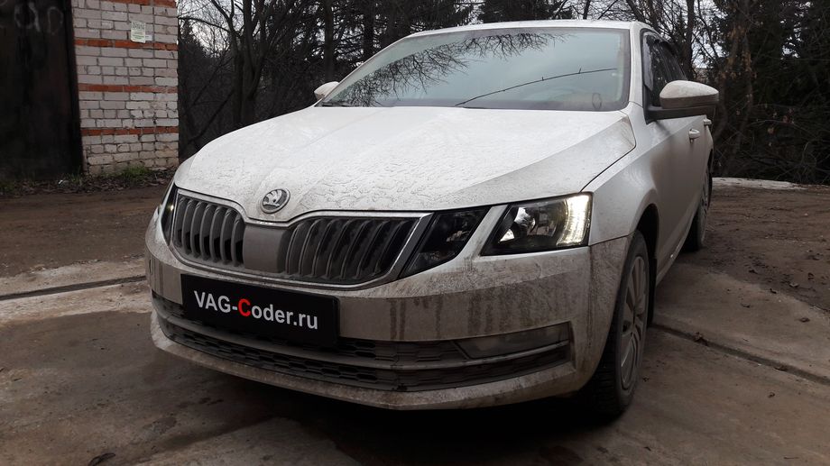 Skoda Octavia A7 FL-1,4TSI-DSG7-2018м/г - активация и кодирование скрытых функций в VAG-Coder.ru в Перми