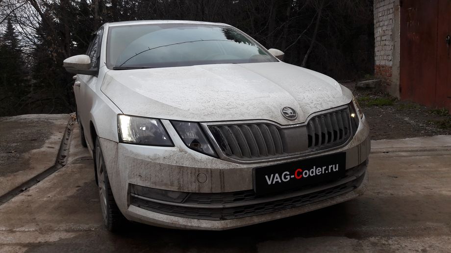 Skoda Octavia A7 FL-1,4TSI-DSG7-2018м/г - активация и кодирование скрытых функций в VAG-Coder.ru в Перми