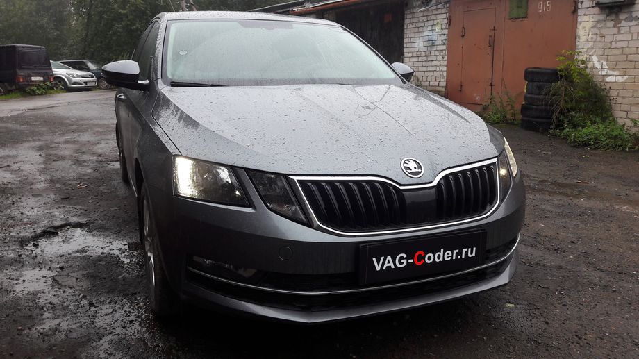 Skoda Octavia A7 FL-1,4TSI(CZDA)-DSG7-2019м/г - активация и кодирование скрытых функций в VAG-Coder.ru в Перми