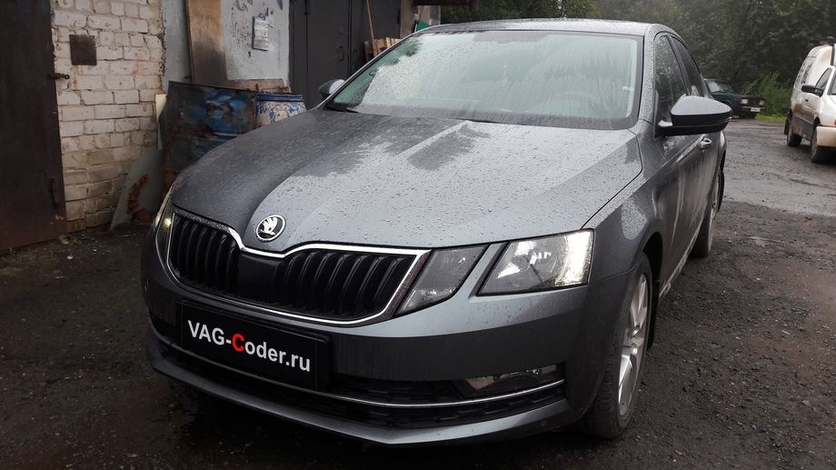 Skoda Octavia A7 FL-1,4TSI(CZDA)-DSG7-2019м/г - активация и кодирование скрытых функций в VAG-Coder.ru в Перми