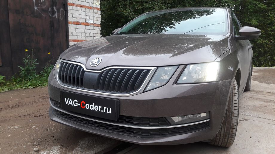 Skoda Octavia A7-1,4TSI-DSG7-2019м/г - программная разблокировка работы MirrorLink в движении (VIM MirrorLink) функции пакета SmartLink на Шкода Октавия А7 в VAG-Coder.ru в Перми