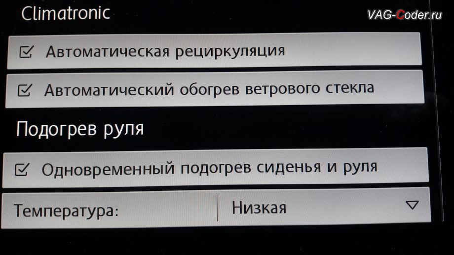 VW Tiguan NF-2020м/г - в стоке нет функции автоматического включения подогрева руля, кодирование и активация пакета скрытых заводских функций на Фольксваген Тигуан НФ в VAG-Coder.ru в Перми