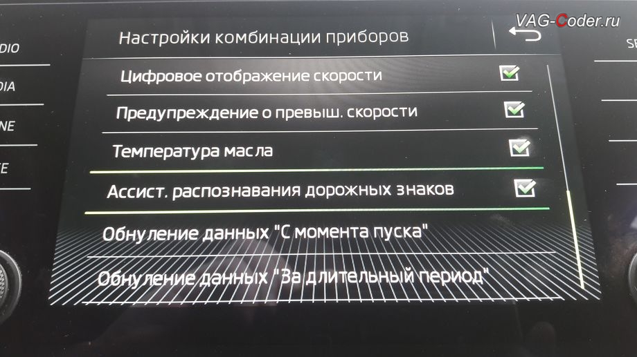 Пункт включения отображения дорожных знаков в панели приборов, активация функции ассистента отображения Распознавания дорожных знаков в панели приборов в VAG-Coder.ru