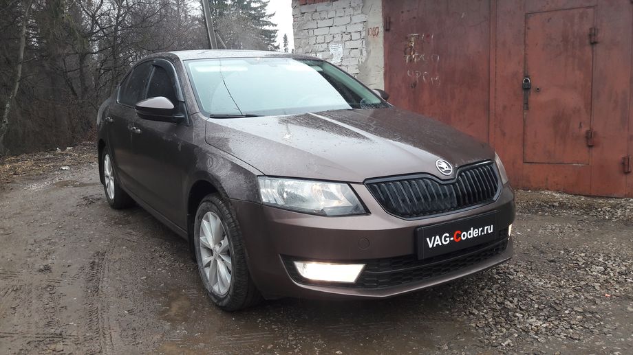 Skoda Oсtavia A7-1,4TSI(CHPA)-DSG7-2014м/г - чип-тюнинг двигателя и DSG7, обновление прошивки двигателя в VAG-Coder.ru