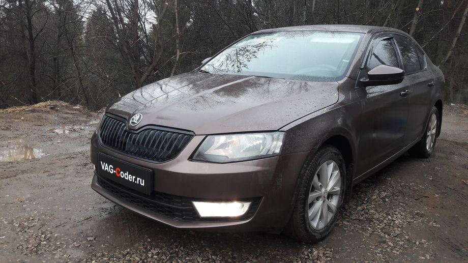 Skoda Oсtavia A7-1,4TSI(CHPA)-DSG7-2014м/г - чип-тюнинг двигателя и DSG7, обновление прошивки двигателя в VAG-Coder.ru