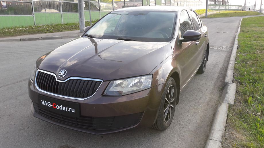 Skoda Octavia A7(668)-1,4TSI-FWD-МКП-2013 - тюнинг PetranVAG Tuned от VAG-Coder.ru