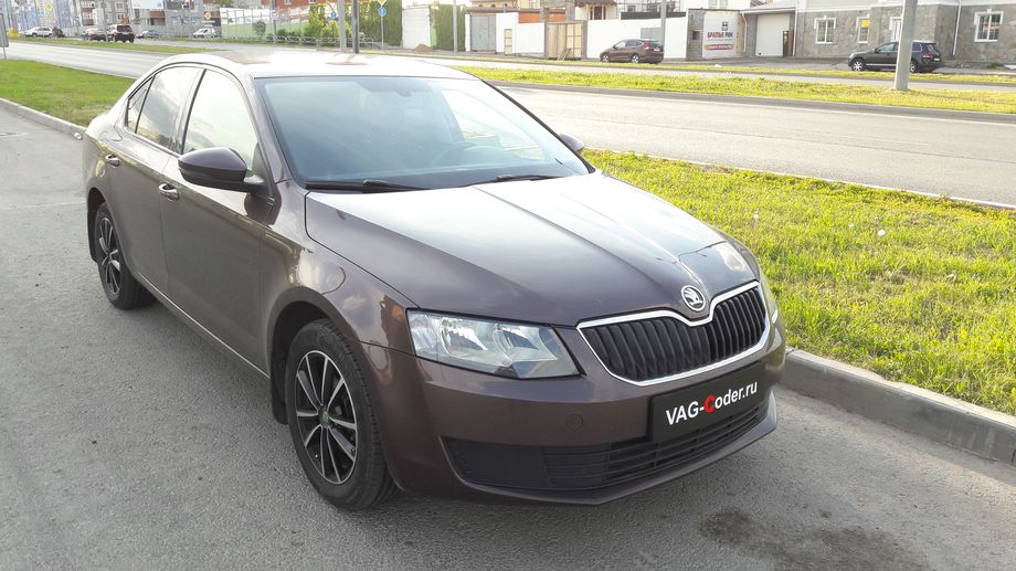 Skoda Octavia A7(668)-1,4TSI-FWD-МКП-2013 - тюнинг PetranVAG Tuned от VAG-Coder.ru