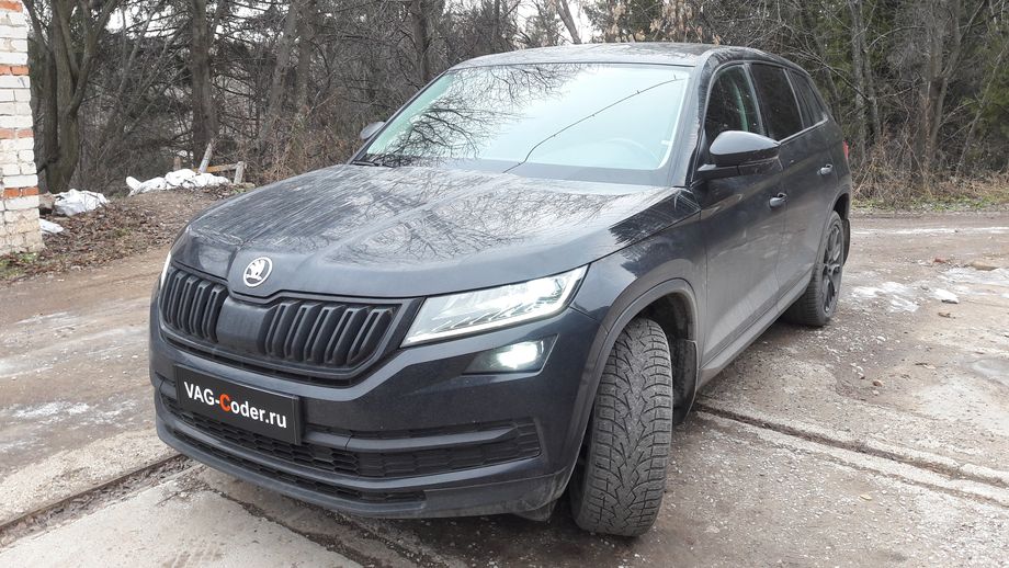 Skoda Kodiaq-1,4TSI(CZDA)-4х4-DSG6-2018м/г - чип-тюнинг двигателя 1,4TSI(CZDA) до 180 л.с и 300 Нм от PetranVAG Tuned на Шкода Кодиак в VAG-Coder.ru в Перми