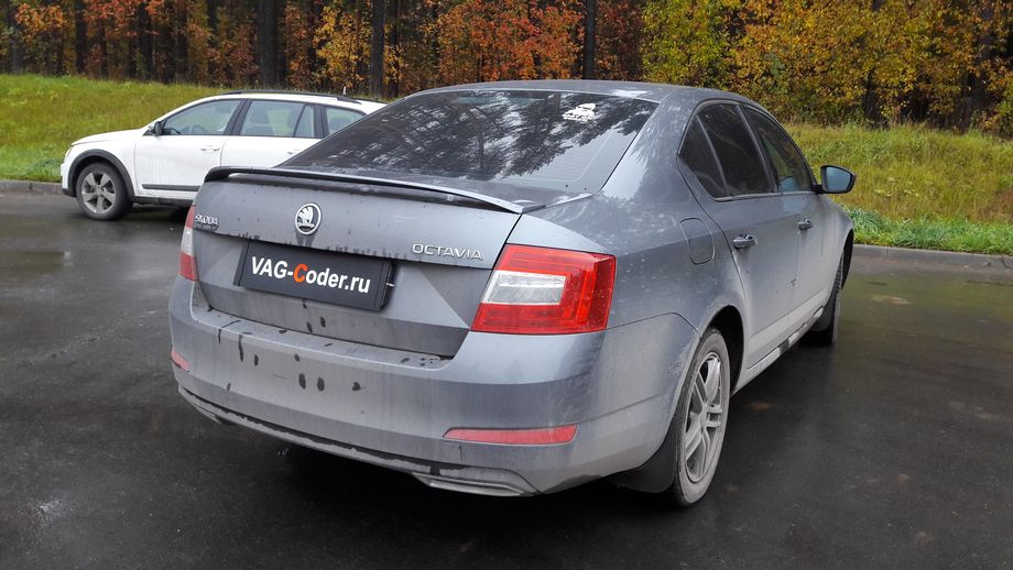 Skoda Octavia A7-1,6MPI(CWVA)-МКП5-2015м/г - VAG-Coder.ru