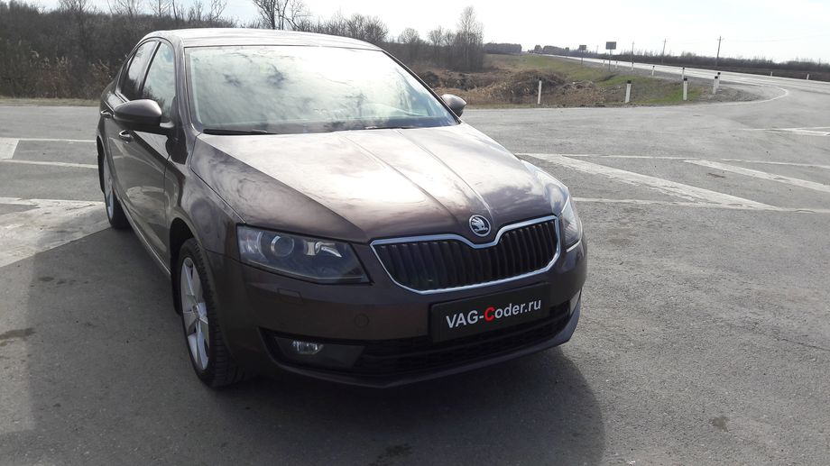 Skoda Octavia A7-1,8TSI(CJSA)-DSG7-2015м/г - VAG-Coder.ru