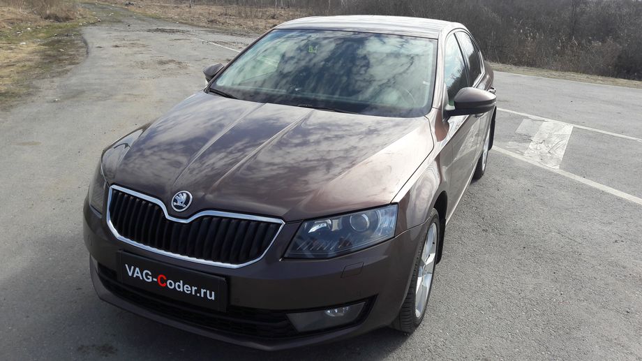 Skoda Octavia A7-1,8TSI(CJSA)-DSG7-2015м/г - VAG-Coder.ru