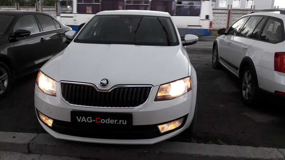 Skoda Oсtavia A7-1,4TSI-DSG7-2013м/г - VAG-Coder.ru