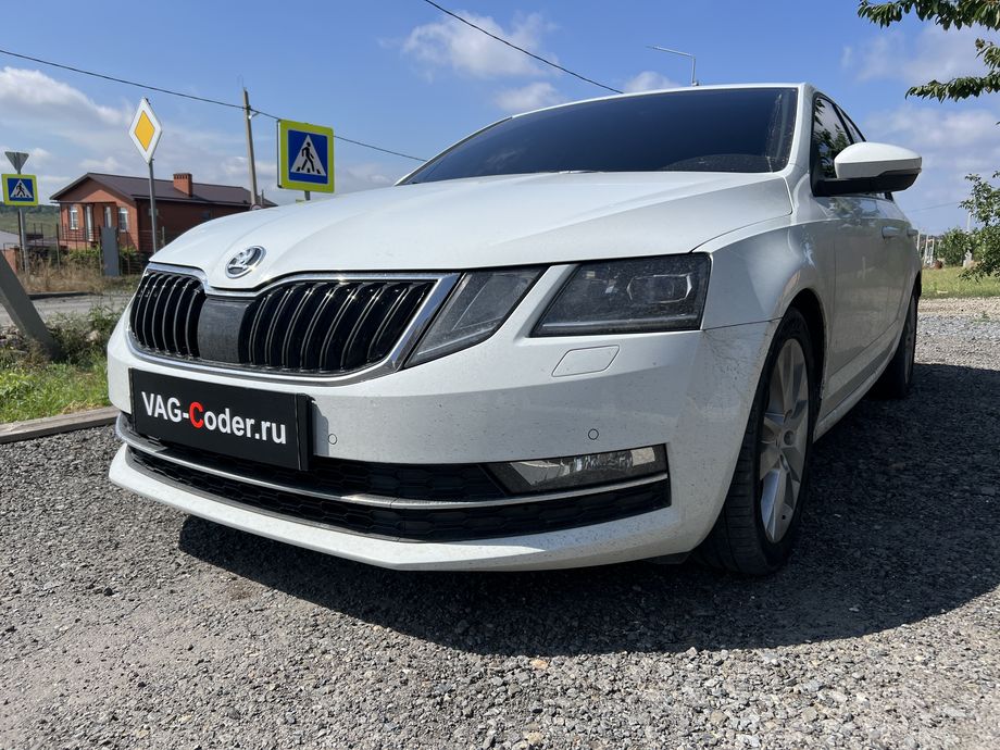 Skoda Octavia A7 FL-1,8TSI(CJSA)-DSG7-2018м/г - чип-тюнинг двигателя 1,8TSI(CJSA) до 230 л.с. и 300 Нм и программная модификация прошивки двигателя по отключению 2-го лямбда-зонда нейтралитического катализатора (мод CatOff, перевод ЕВРО-2), и чип-тюнинг автоматической коробки передач DSG7 (DQ200-G2 MQB) от PetranVAG Tuned на Шкода Октавия А7 ФЛ в VAG-Coder.ru в Ростове-на-Дону