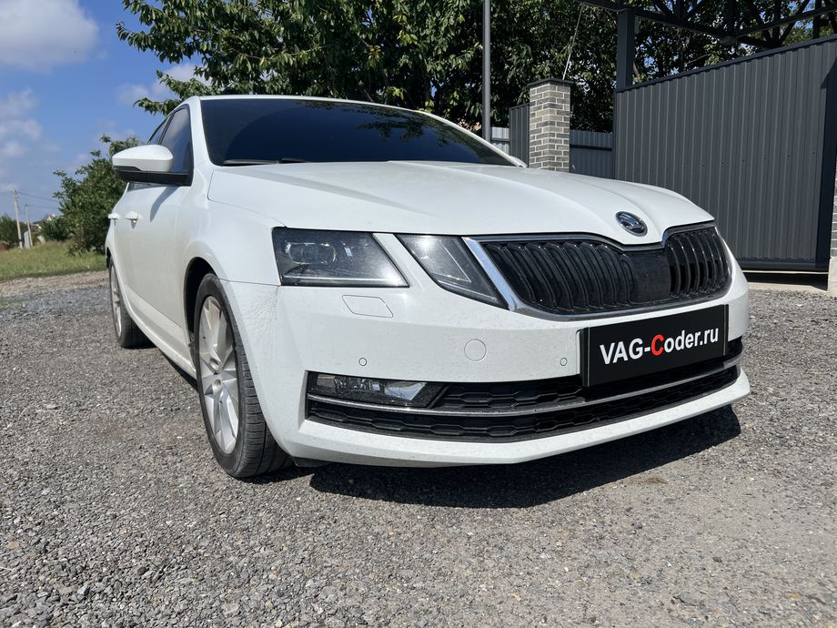 Skoda Octavia A7 FL-1,8TSI(CJSA)-DSG7-2018м/г - чип-тюнинг двигателя 1,8TSI(CJSA) до 230 л.с. и 300 Нм и программная модификация прошивки двигателя по отключению 2-го лямбда-зонда нейтралитического катализатора (мод CatOff, перевод ЕВРО-2), и чип-тюнинг автоматической коробки передач DSG7 (DQ200-G2 MQB) от PetranVAG Tuned на Шкода Октавия А7 ФЛ в VAG-Coder.ru в Ростове-на-Дону